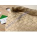 Bottega Veneta Teen Jodie with gold-toned hardware B690225-oatmeal