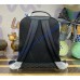 Louis Vuitton Avenue Backpack N40501