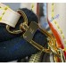 Louis Vuitton Monogram Canvas Lockit BB M12019