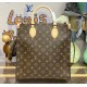 Louis Vuitton Sac Plat PM M46263