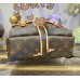 Louis Vuitton Excursion PM M46932