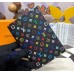 Louis Vuitton LV x TM Passport Cover M14178-black