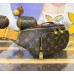 Louis Vuitton Rush Bumbag M14019