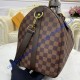 Louis Vuitton Damier Ebene Keepall 45 N41428