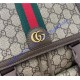 Gucci Ophidia Large Backpack GU792104-brown