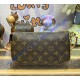 Louis Vuitton Monogram Canvas Pochette Accessoires M82766