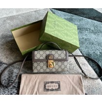 Gucci Ophidia mini bag GU772314-brown