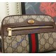 Gucci Ophidia GG Supreme mini bag