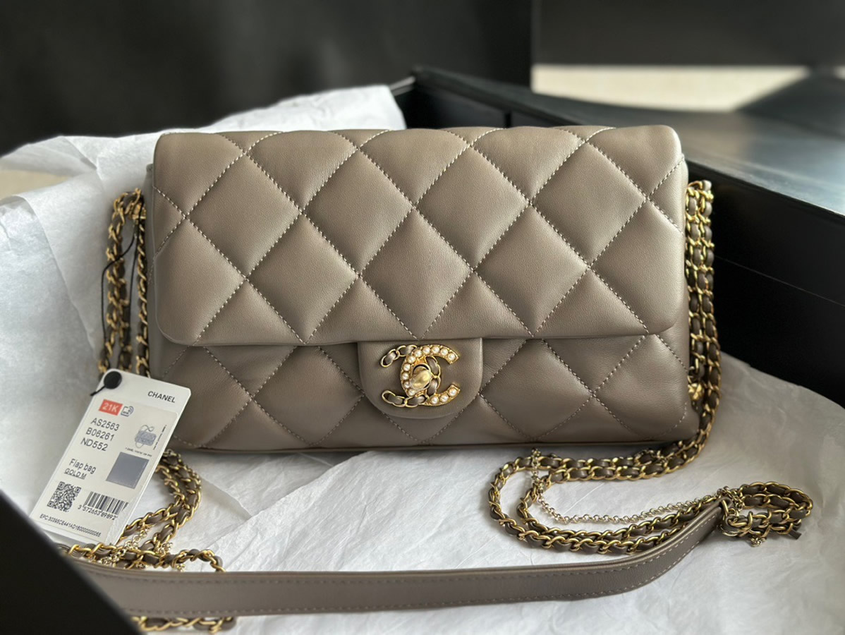 Chanel 2021 SS Flap bag C2563-gray – LuxTime DFO Handbags